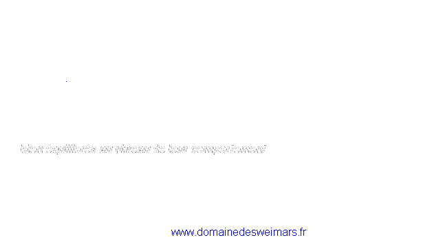 Zone de Texte: